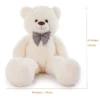 Big Teddy Bear
